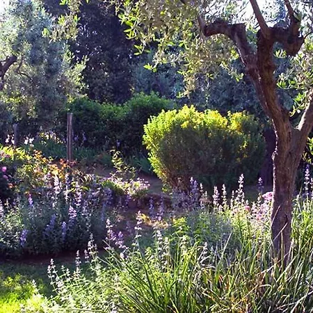 Sleeps 10 Pool Wifi Villa Talamone